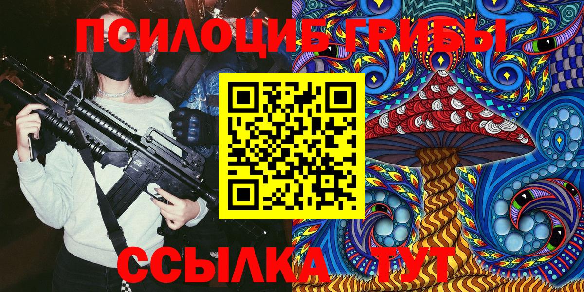 Галлюциногенные грибы Psilocybine cubensis  Вход с VPN  Знаменск 
